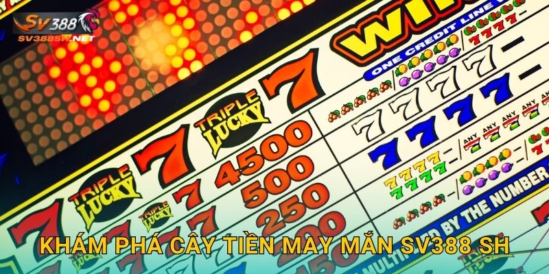 Khám phá Cây Tiền May Mắn sv388 sh