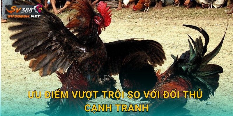 Ưu điểm vượt trội so với đối thủ cạnh tranh