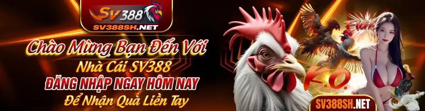 BANNER SV388SH.NET